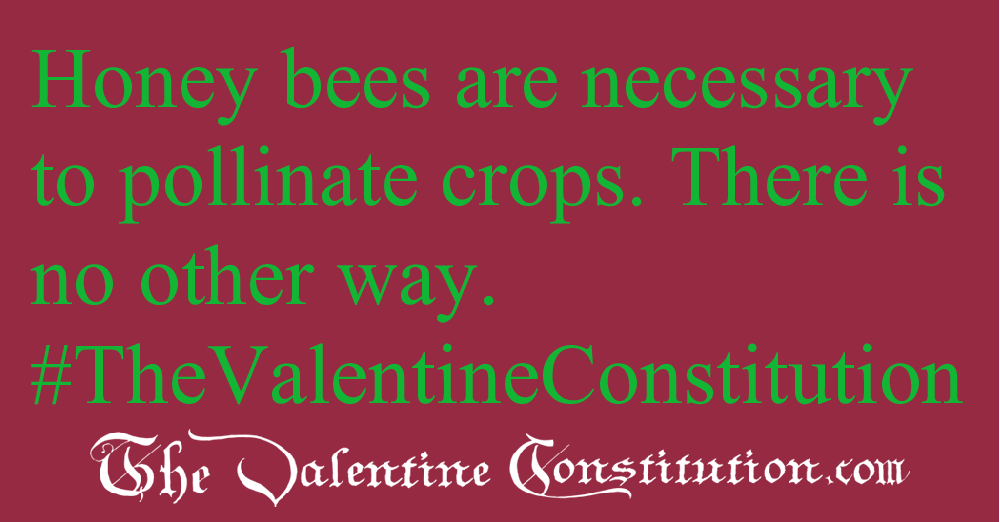ENVIRONMENT > FOOD and FARMING > Honey Bees and Pollinators