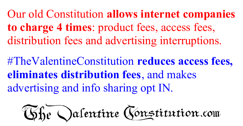 CONSTITUTIONS > COMPARE BOTH CONSTITUTIONS > Internet Marketplace