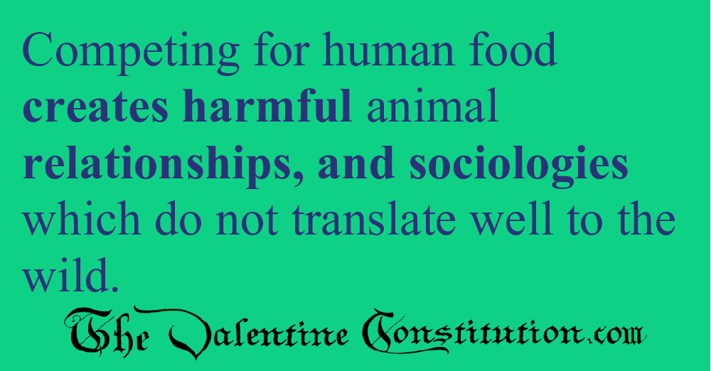 ENVIRONMENT > ANIMAL RIGHTS > No Feeding Wild Animals