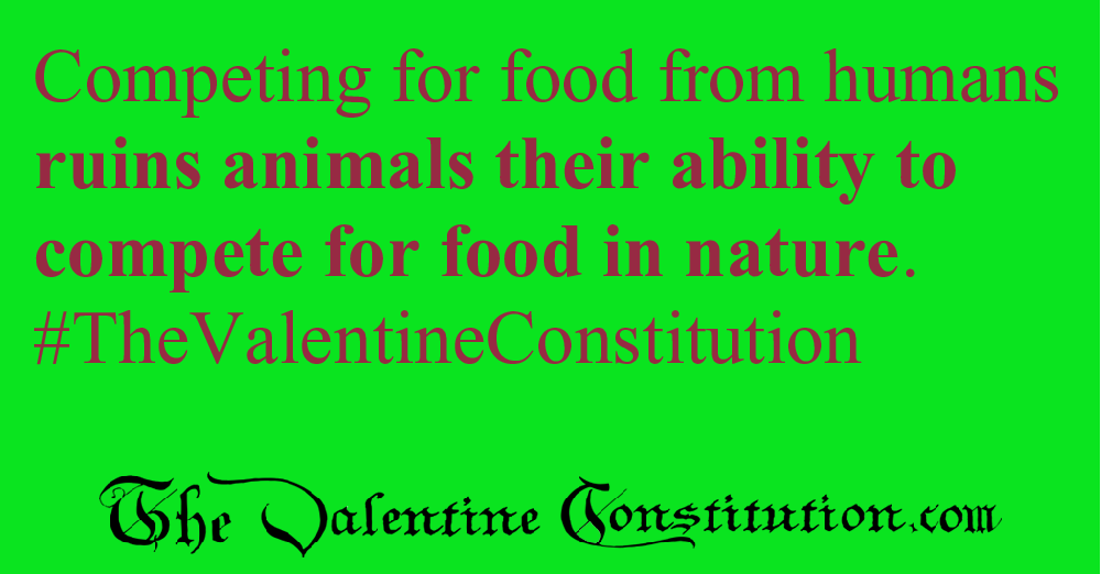 ENVIRONMENT > ANIMAL RIGHTS > No Feeding Wild Animals