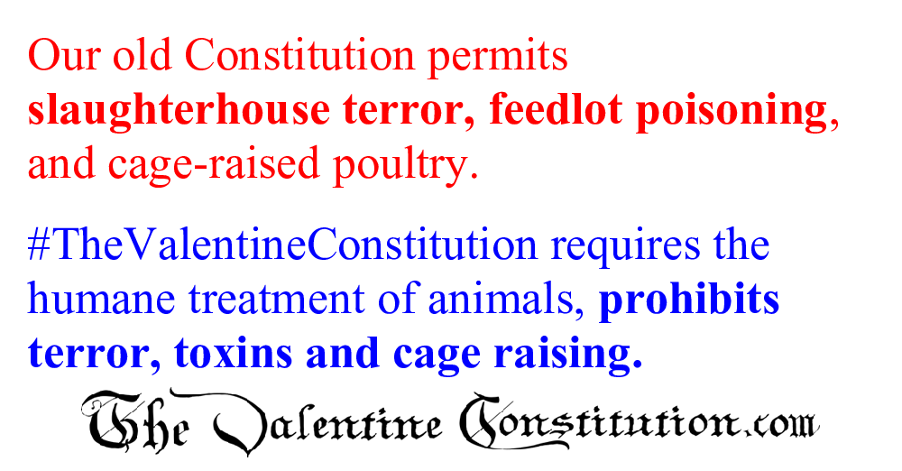 CONSTITUTIONS > COMPARE BOTH CONSTITUTIONS > Water and Food